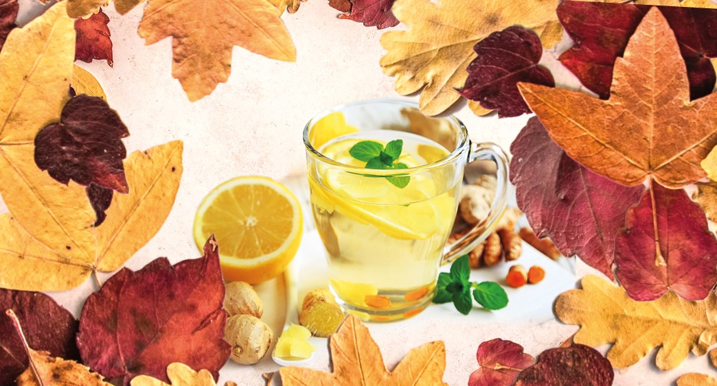 Das Detox-Paket – Für Körper, Geist & Wohlfühlgewicht